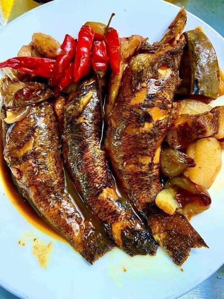 Nông Dân Tiên Lãng Thành Công Với Nuôi Cá Bống Tượng - Đặc Sản Miền Nam 11 Nông Dân Tiên Lãng Thành Công Với Nuôi Cá Bống Tượng - Đặc Sản Miền Nam